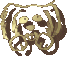 Dog Icon